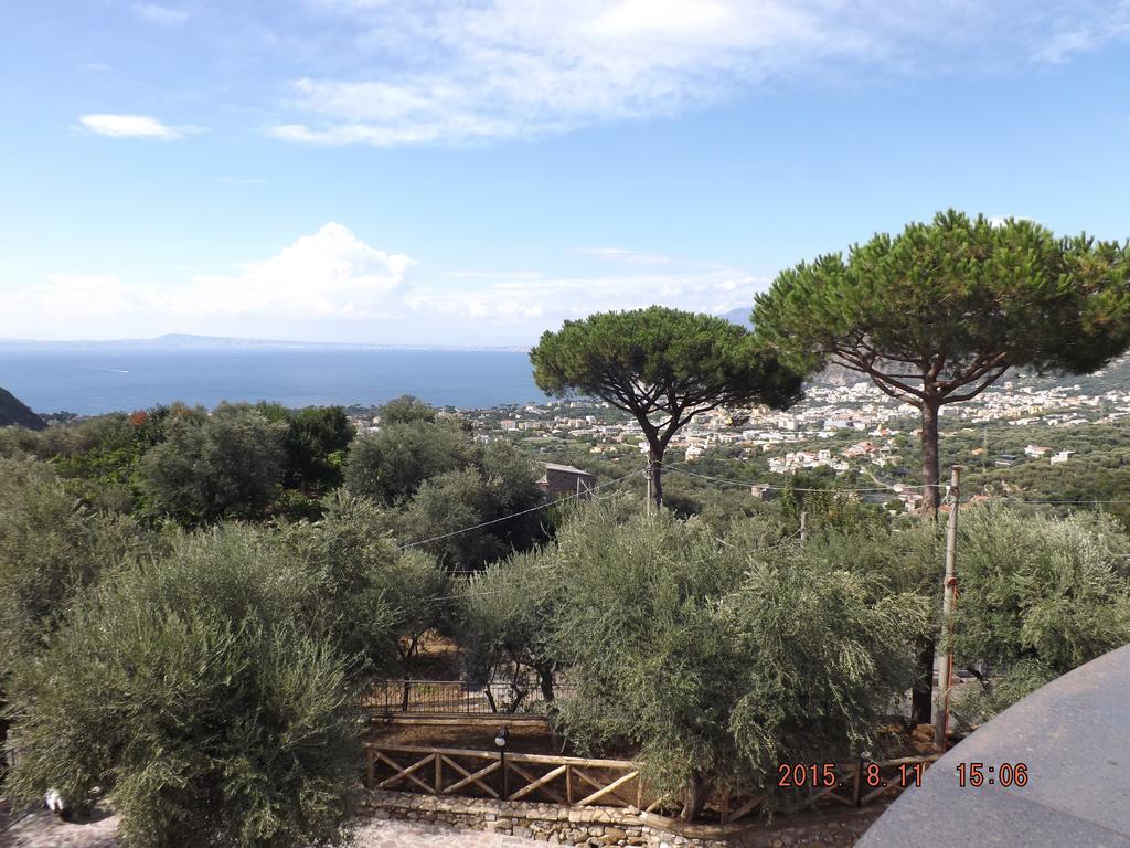 Appartamento Villa Degli Ulivi 圣安吉洛 客房 照片