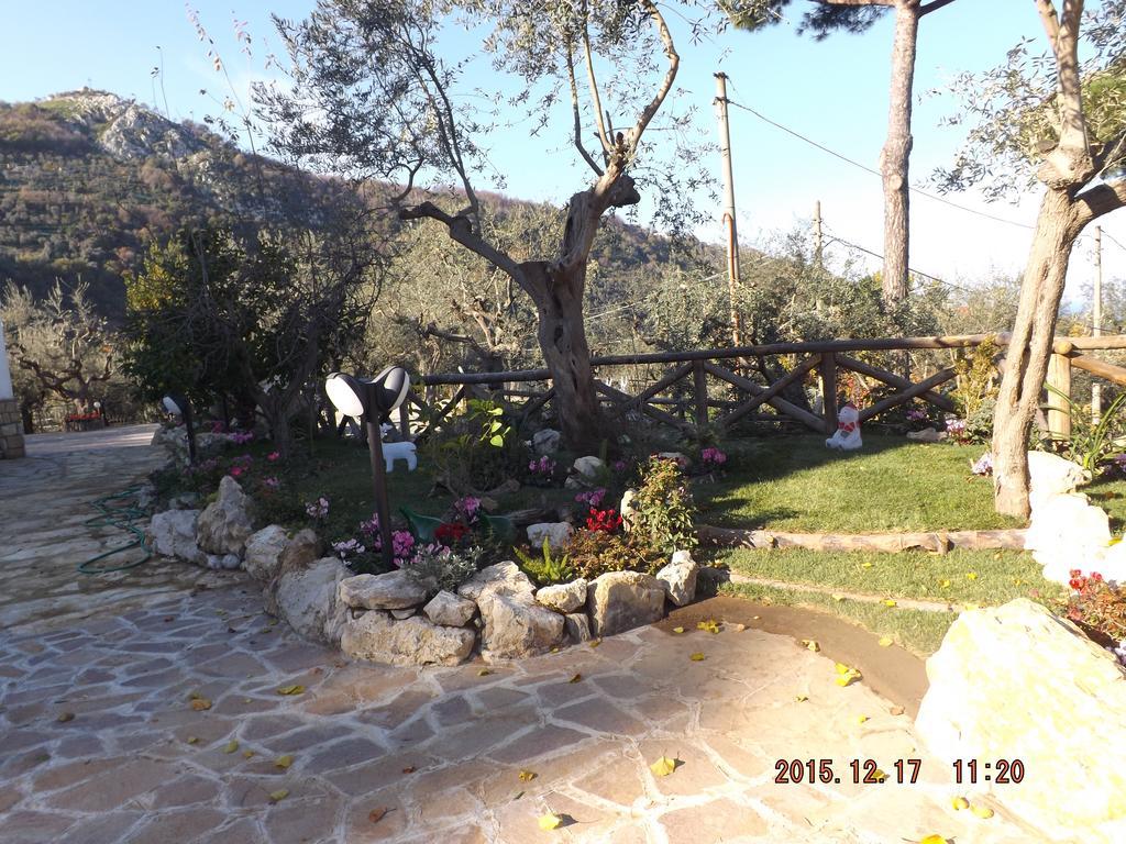 Appartamento Villa Degli Ulivi 圣安吉洛 外观 照片