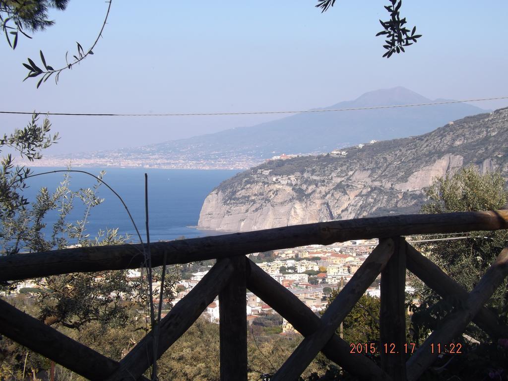 Appartamento Villa Degli Ulivi 圣安吉洛 客房 照片